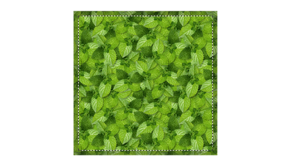 CUSCINO mod. Q001 - 10969X